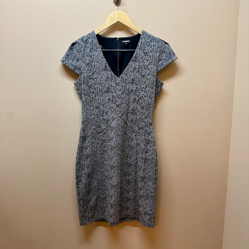Express professional dress